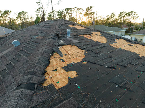 Best Roof Insulation Installation  in Rome, NY
